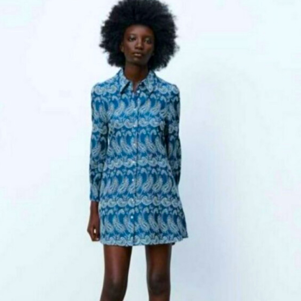 ZARA Blue Paisley Women's Dress